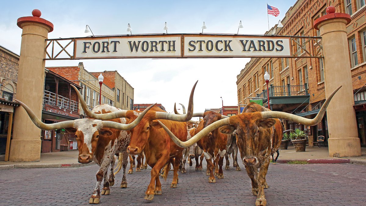 Development of The New Stockyards Fort Worth Magazine